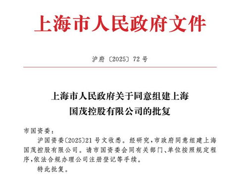 上海市政府批準(zhǔn)成立注冊(cè)資本130億元新國(guó)企，聚焦計(jì)算機(jī)軟硬件技術(shù)研發(fā)